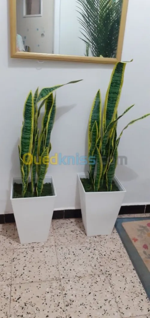 plantes artificiels haute qualité