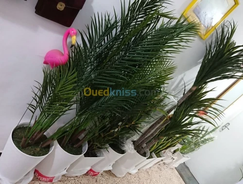 plantes artificiels haute qualité