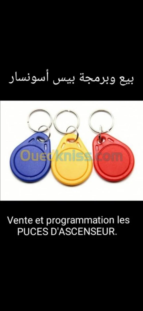 Clé minute & plaque d'immatriculation 