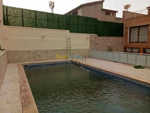 Produit سياج العشب الاصطناعي 