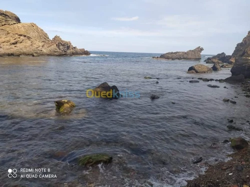 Location vacances Bungalow Tipaza Cherchell