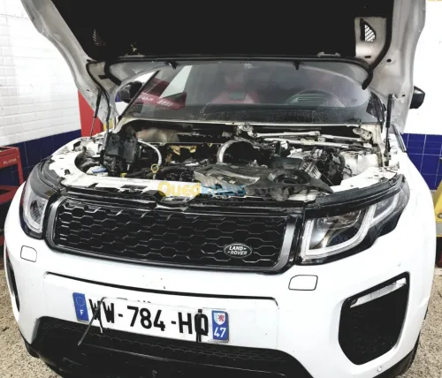 Desactivation adblue _fap_Egr 