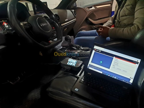 Desactivation adblue _fap_Egr 