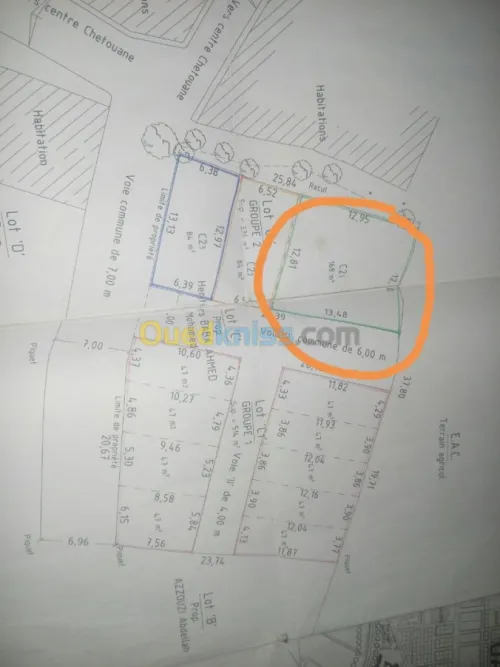 Vente Terrain Tlemcen Chetouane