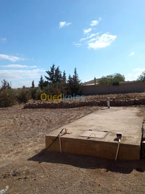 Vente bien immobilier Ain defla El attaf