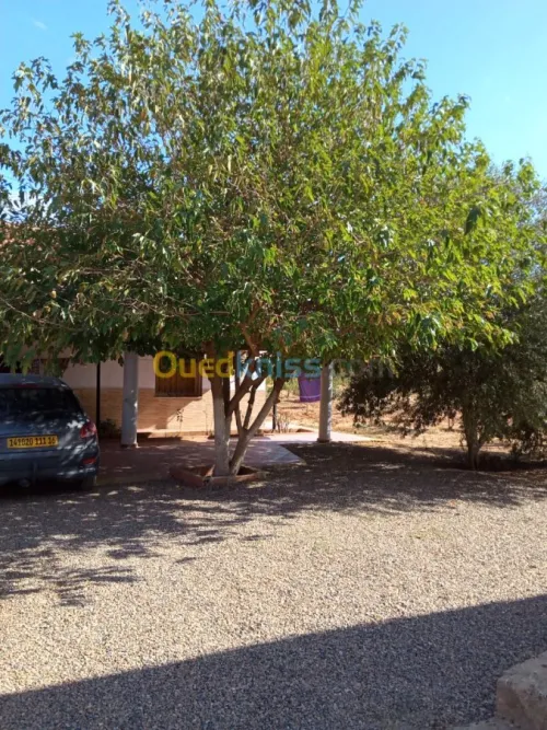 Vente bien immobilier Ain defla El attaf