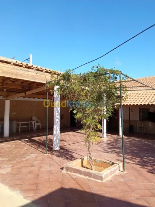 Vente bien immobilier Ain defla El attaf
