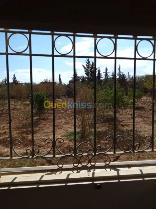 Vente bien immobilier Ain defla El attaf