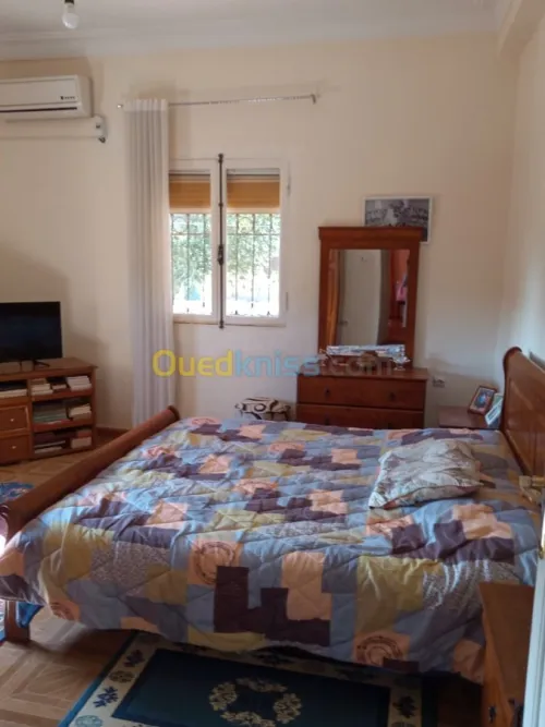 Vente bien immobilier Ain defla El attaf
