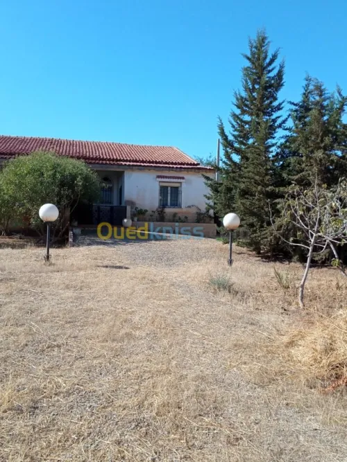 Vente bien immobilier Ain defla El attaf