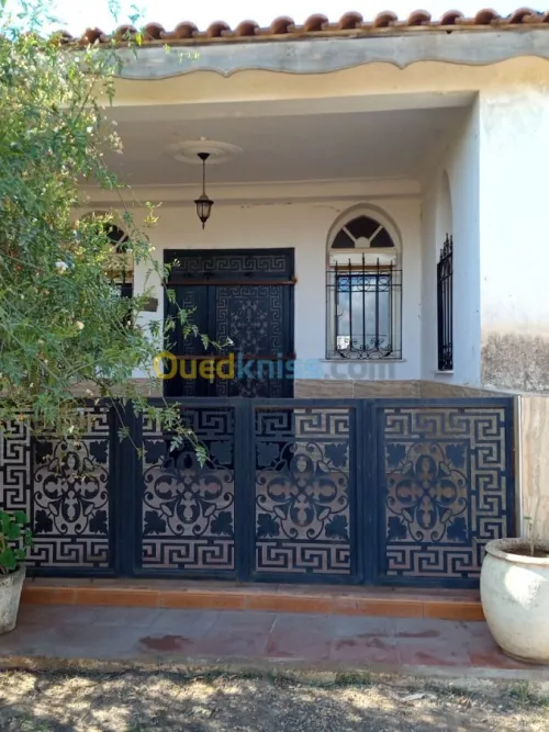 Vente bien immobilier Ain defla El attaf