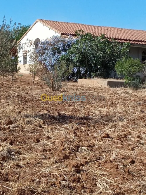 Vente bien immobilier Ain defla El attaf