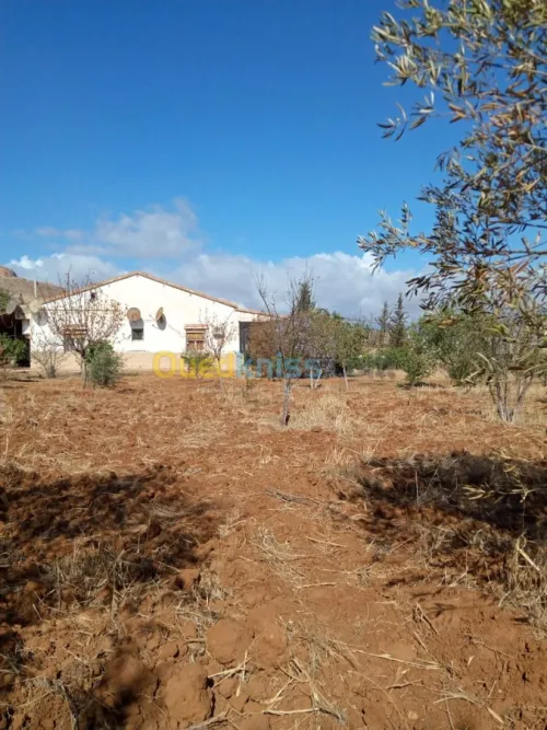 Vente bien immobilier Ain defla El attaf