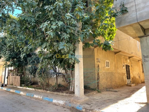 Vente Villa Tiaret Tiaret
