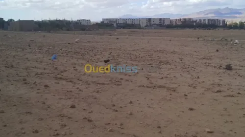 Vente Terrain Batna Ngaous