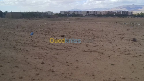 Vente Terrain Batna Ngaous