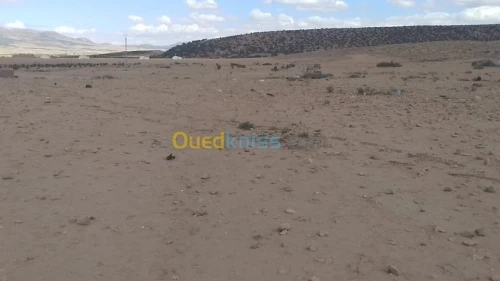 Vente Terrain Batna Ngaous