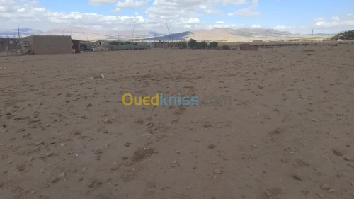 Vente Terrain Batna Ngaous