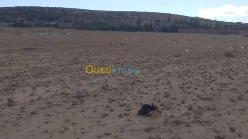 Vente Terrain Batna Ngaous