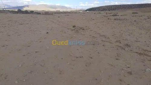 Vente Terrain Batna Ngaous