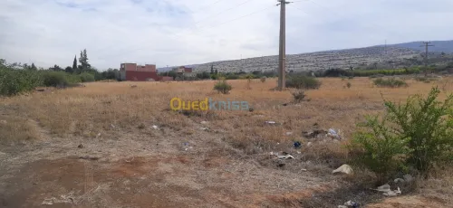 Vente Terrain Relizane Oued rhiou
