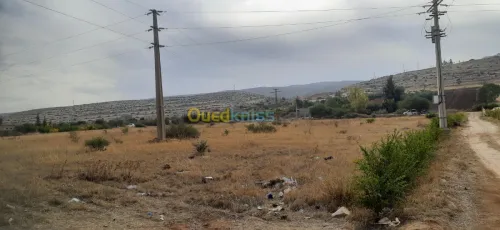Vente Terrain Relizane Oued rhiou