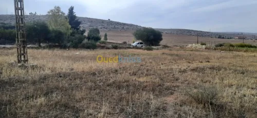 Vente Terrain Relizane Oued rhiou