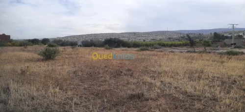 Vente Terrain Relizane Oued rhiou