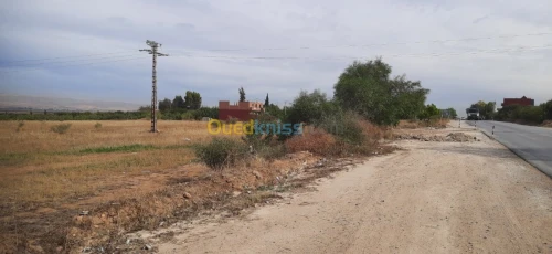 Vente Terrain Relizane Oued rhiou