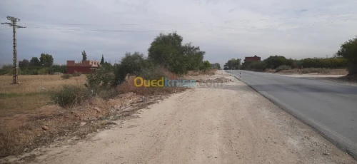 Vente Terrain Relizane Oued rhiou