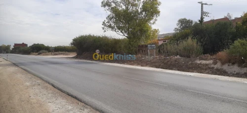 Vente Terrain Relizane Oued rhiou