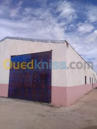 Location Hangar Tiaret Tiaret
