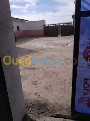 Location Hangar Tiaret Tiaret