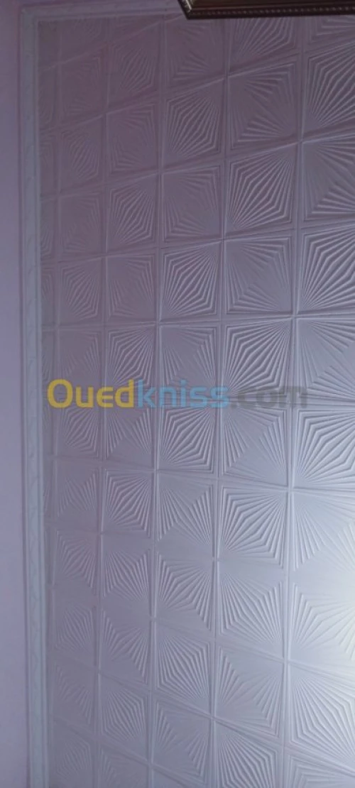 Plafan /faux plafon /PVC/platre maroca