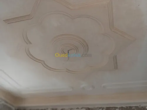 Plafan /faux plafon /PVC/platre maroca