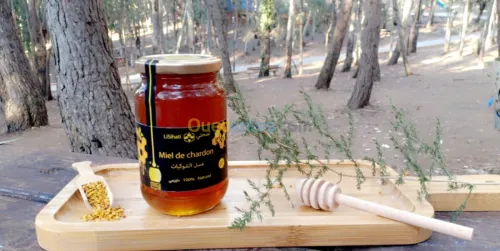 Miel de chardon عسل الشوكيات