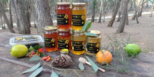 Miel de chardon عسل الشوكيات