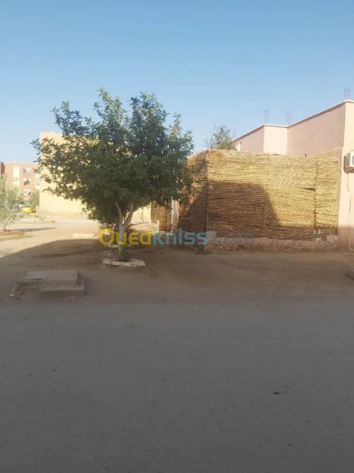 Vente Immeuble Bechar Bechar