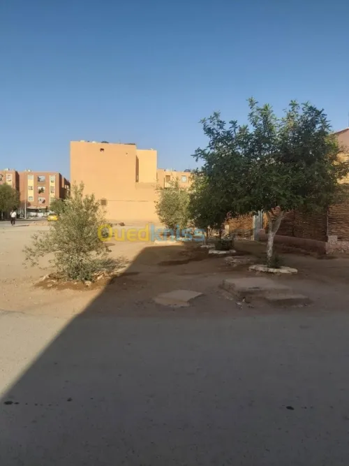 Vente Immeuble Bechar Bechar