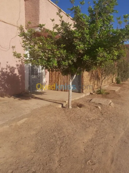 Vente Immeuble Bechar Bechar