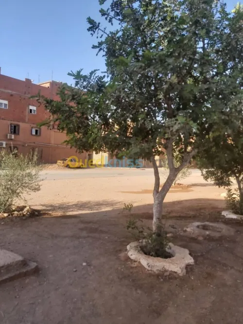Vente Immeuble Bechar Bechar