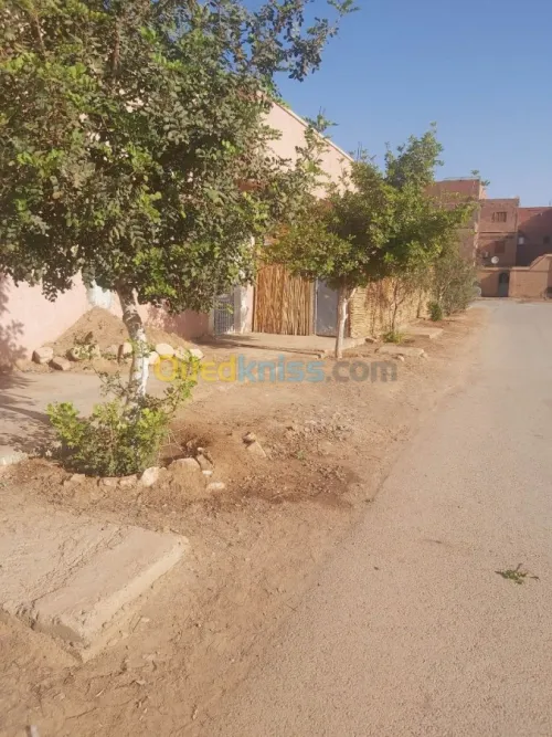 Vente Immeuble Bechar Bechar