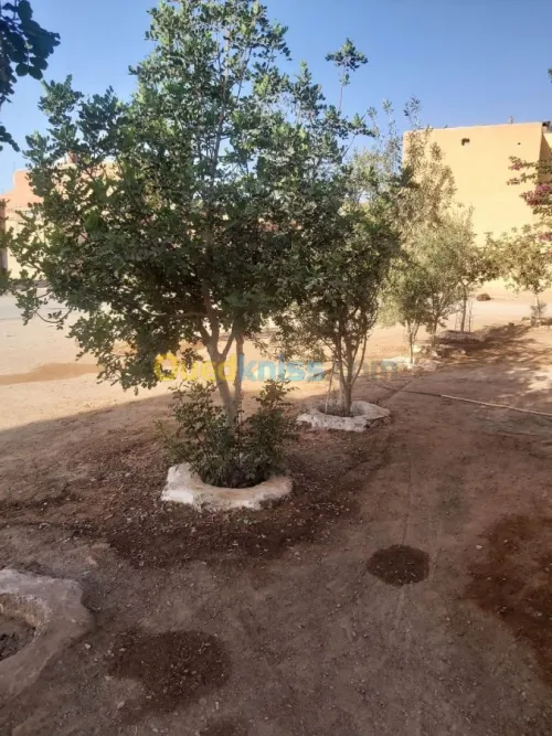 Vente Immeuble Bechar Bechar
