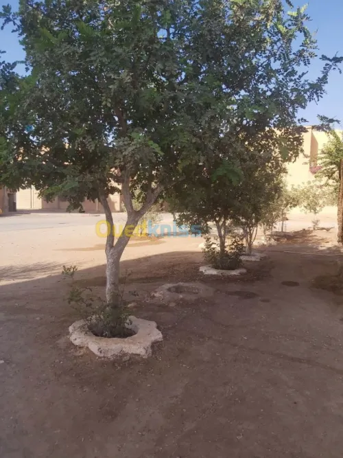 Vente Immeuble Bechar Bechar
