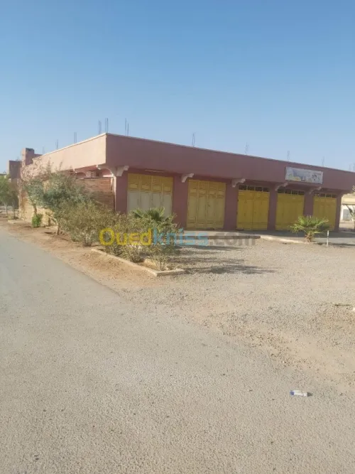 Vente Immeuble Bechar Bechar
