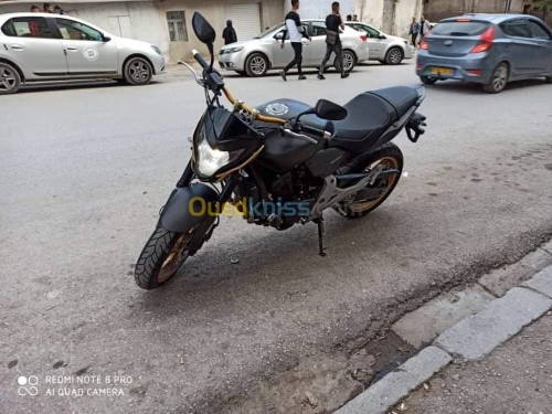 Honda Hornet
