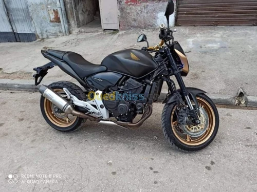 Honda Hornet