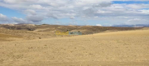 Vente Terrain Bordj bou arreridj Hasnaoua