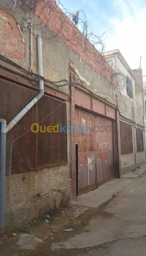 Vente Local Oran Oran
