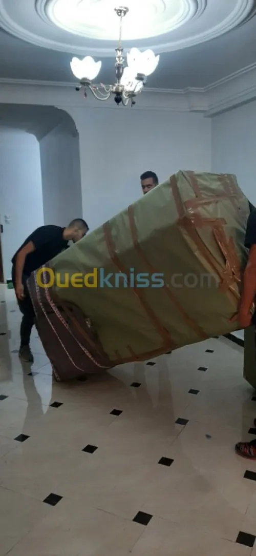 Demenagement tout options easy move dz